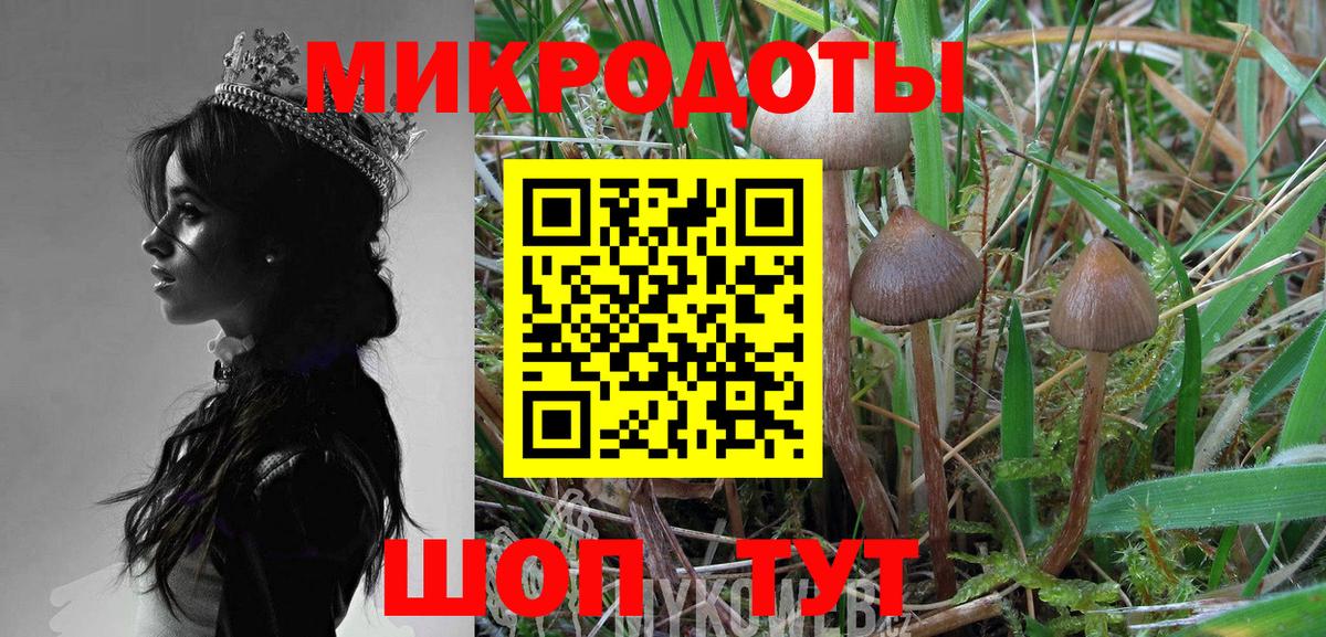 Псилоцибиновые грибы GOLDEN TEACHER  Камышлов  Псилоцибиновые грибы Psilocybe 