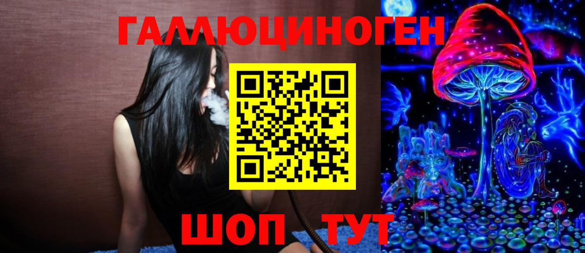 Камышлов  Псилоцибиновые грибы прущие грибы  Вход с VPN 