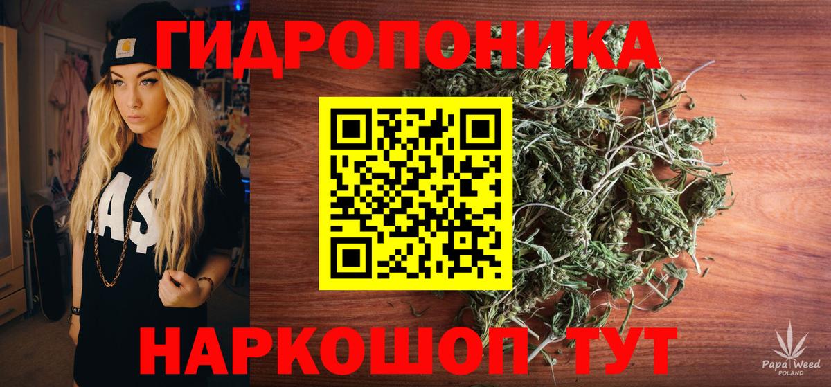 Бошки марихуана MAZAR  Вход с VPN  Канабис ГИДРОПОН  Шишки марихуана план  Канабис MAZAR  Камышлов 
